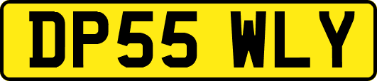 DP55WLY