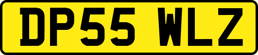 DP55WLZ