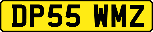 DP55WMZ