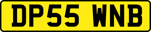 DP55WNB