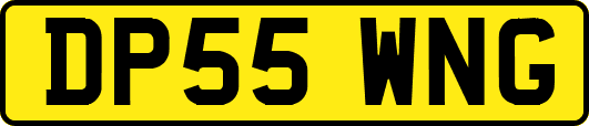 DP55WNG
