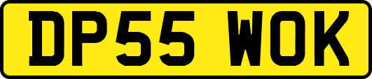 DP55WOK