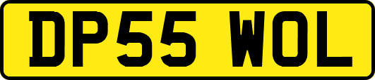 DP55WOL