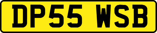 DP55WSB