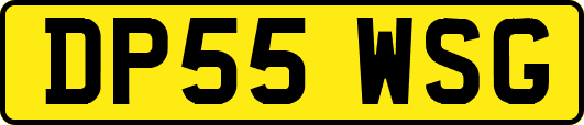 DP55WSG