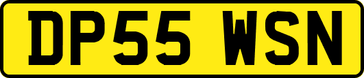 DP55WSN