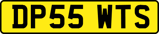DP55WTS