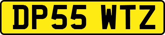 DP55WTZ