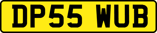 DP55WUB