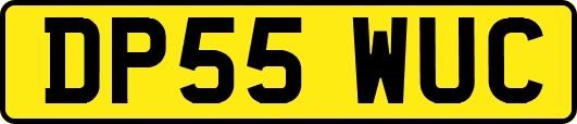DP55WUC