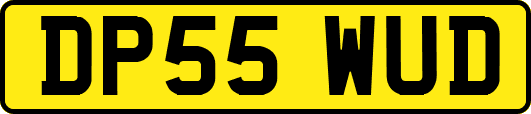 DP55WUD