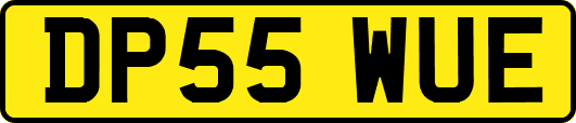 DP55WUE