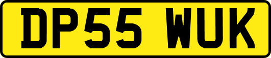 DP55WUK