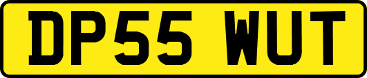 DP55WUT