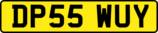 DP55WUY