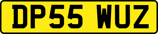DP55WUZ