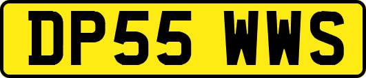 DP55WWS