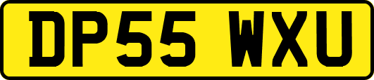 DP55WXU