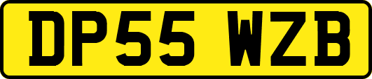 DP55WZB