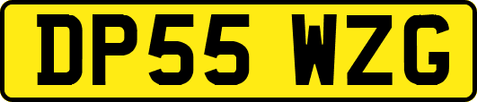 DP55WZG