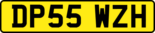 DP55WZH