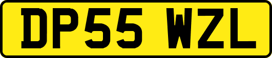 DP55WZL