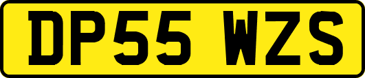 DP55WZS