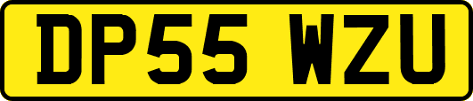 DP55WZU