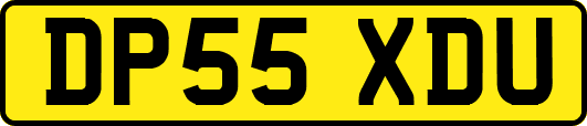 DP55XDU