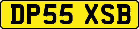 DP55XSB