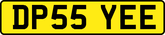 DP55YEE