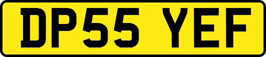 DP55YEF