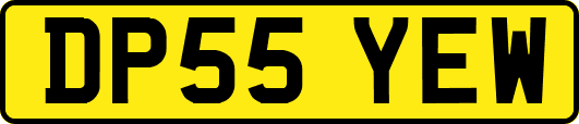 DP55YEW