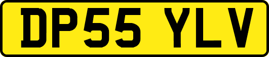 DP55YLV