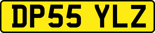 DP55YLZ