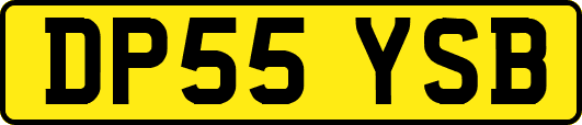 DP55YSB