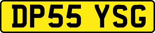 DP55YSG