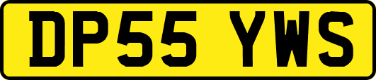 DP55YWS