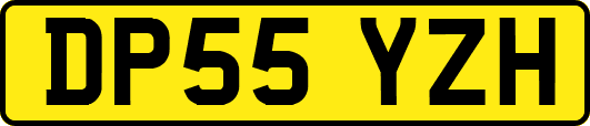 DP55YZH