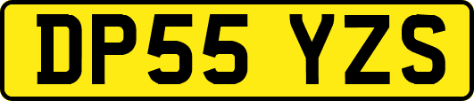 DP55YZS