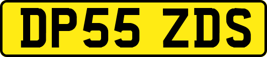 DP55ZDS