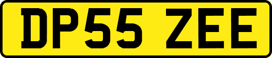DP55ZEE