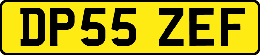 DP55ZEF