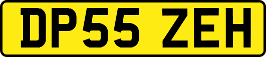 DP55ZEH