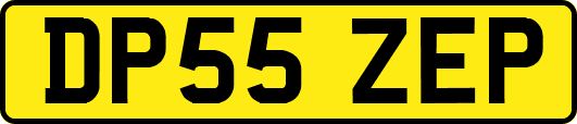 DP55ZEP