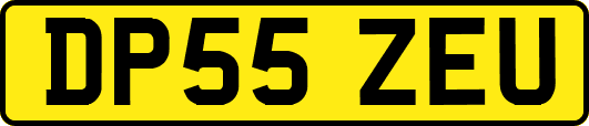DP55ZEU