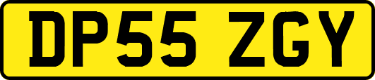 DP55ZGY