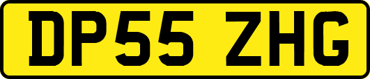 DP55ZHG