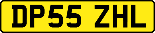 DP55ZHL