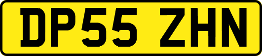DP55ZHN